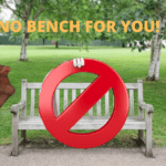 Don ‘t you put that bench there! Don’t you do it!…Deerwood Realty And Friends…Ep. 8
